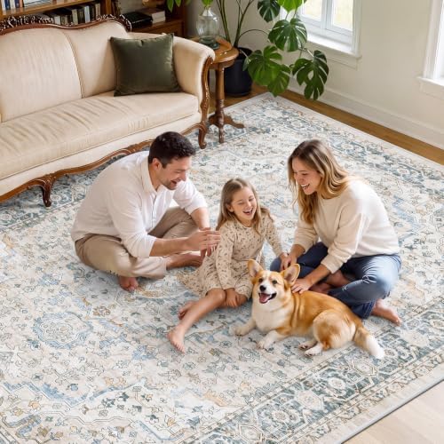 SameBed 6x9 Area Rug Living Room, Vintage Washable Carpet Grey Blue