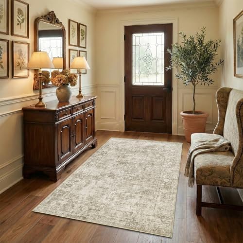 Homemate Washable Rug 4x6 Area Rugs - Vintage Rugs for Living Room