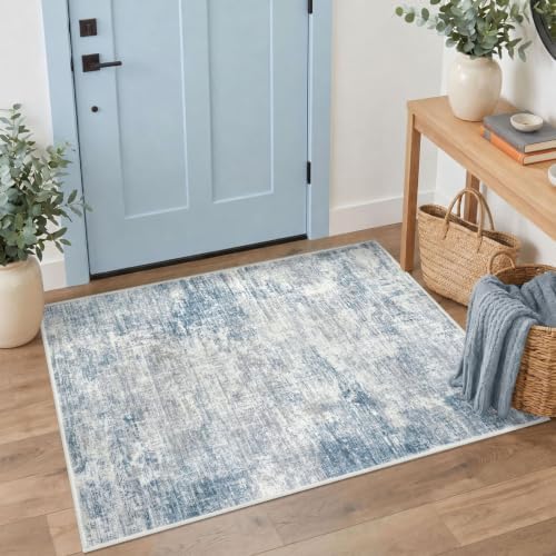 IOHOUZE Abstract Area Rug 3x4 Ft Washable Rugs for Entryway Indoor, Non Slip Kitchen Rug Printed Faux Wool Throw Rugs, Indoor Door Mat for Door Entrance Foyer Living Room, Light Blue Grey
