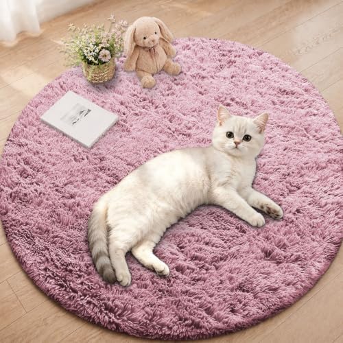 Smiry Round Area Rugs for Living Room Bedroom 2x2 ft, Fluffy Carpet