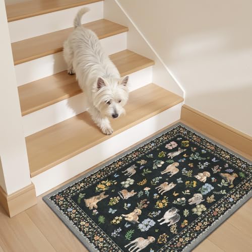 Soalmost 2x3 Dog Rugs for Entryway, Washable Door Mat Animal Soft Rug Black