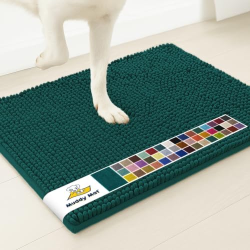 Muddy Mat® | Super Water Absorbent Door Mat Indoor, Microfiber Quick Dry Chenille Entryway Rug,Slip Resistant Front Door Mat,Indoor Mats for Entryway,Machine Washable Pet Rug, Atlantic Green 24" x 44"