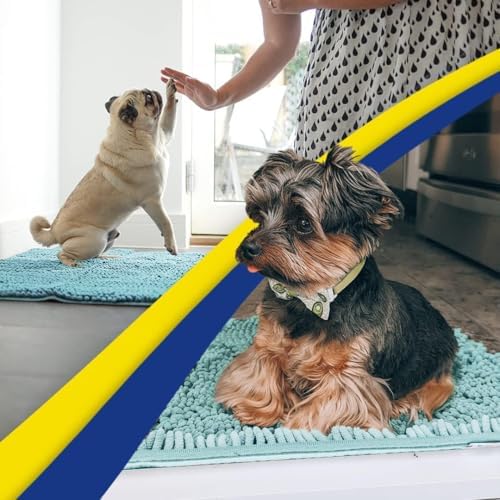 Muddy Mat® | Super Water Absorbent Door Mat Indoor, Microfiber Quick Dry Chenille Entryway Rug, Slip Resistant Front Door Mat, Indoor Mats for Entryway, Machine Washable Pet Rug, Sea Green 5ft x 7ft