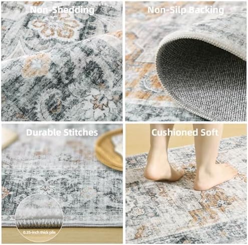 2x3 Washable Area Rugs for Entryway: Small Throw Rugs Low Pile Soft Carpet