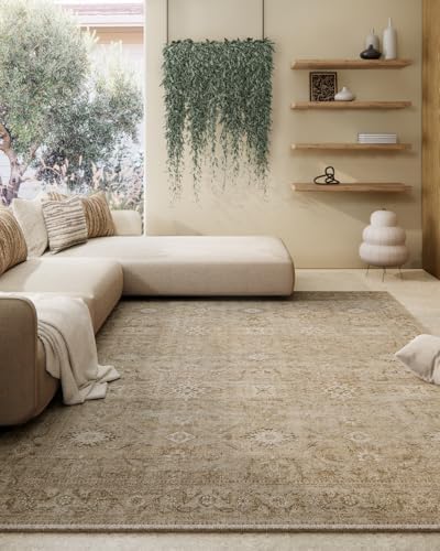 Washable Living Room Area Rug: 5x7 Rugs for Bedroom Non Slip Soft Carpet