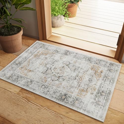 2x3 Washable Area Rugs for Entryway: Small Throw Rugs Low Pile Soft Carpet