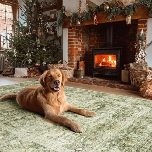 4x6 Washable Area Rugs for Entryway: Small Living Room Rug Non Slip Carpet
