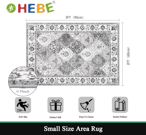 HEBE Indoor Door Mat 2'x3', Washable Welcome Mat for Front Door Entrance