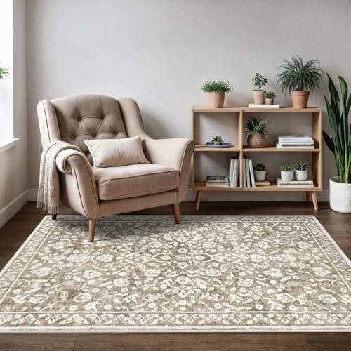 Vintage Washable Rugs for Entryway 3x5 Area Rug Non Slip Door Mat