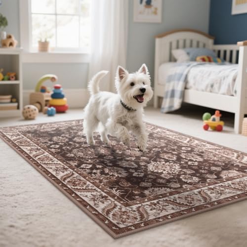 Hanples 4x6 Area Rugs for Living Room, Washable Rug Vintage Floral, Rust
