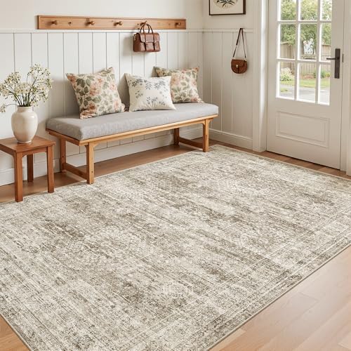 Soalmost 4x6 Area Rug for Living Room, Washable Rugs Non-Slip, Brown