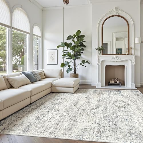 Soalmost 10x12 Area Rugs for Living Room Washable Rug Non-Slip Blue/Ivory
