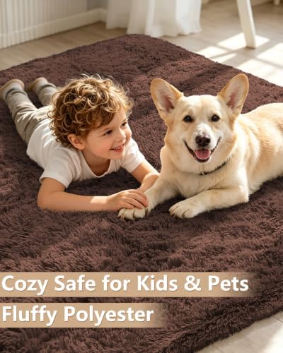 Smiry Area Rugs for Living Room Bedroom 5x8 ft, Fluffy Washable Carpet