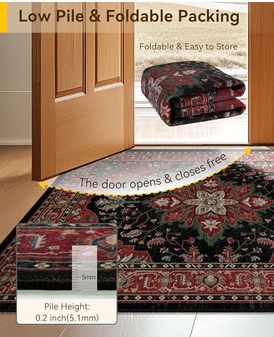 RELEANY Washable Area Rug, Large 10'x12', Red/Black