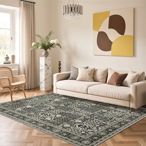 Bavni 5x7 Washable Area Rug Non Slip for Living Room, Black