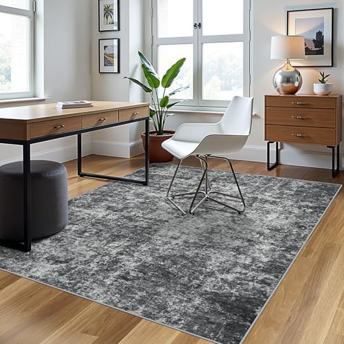 4x6 Area Rugs for Living Room Washable Bedroom Dining Room Black Grey