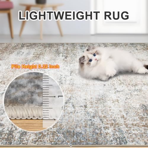 PLHXFR Area Rug Living Room: 4x6 Abstract Washable Carpet Brown Grey