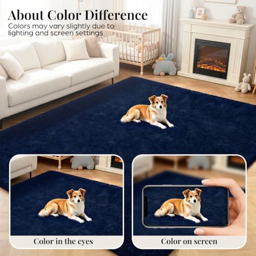 PLHXFR 5x7 Area Rugs Living Room: Fluffy Bedroom Rug Shag Carpet Blue