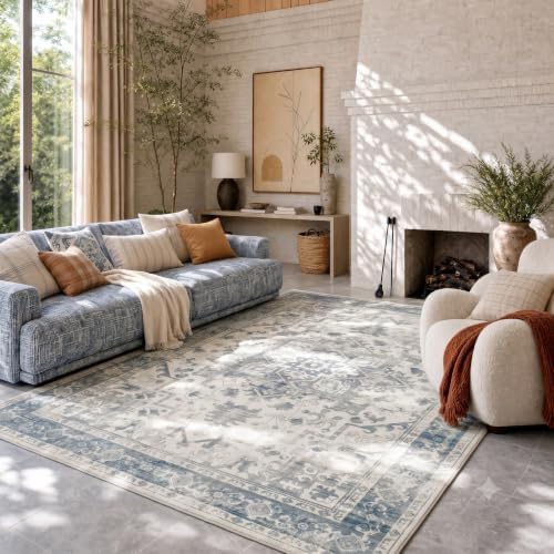 Rugxara 6x9 Washable Area Rug for Living Room,Light Blue Grey