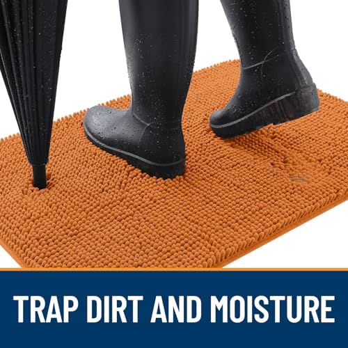 OLANLY Dog Door Mat for Muddy Paws 30x20, Super Absorbent Chenille Mud Mat