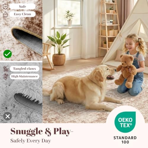 Homemate Washable Rug 6x9 Area Rugs - Vintage Rugs for Living Room