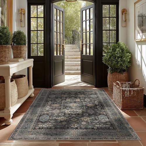 Ruaruarug Washable Area Rug 5×7 for Living Room, Ultra Soft, Silver