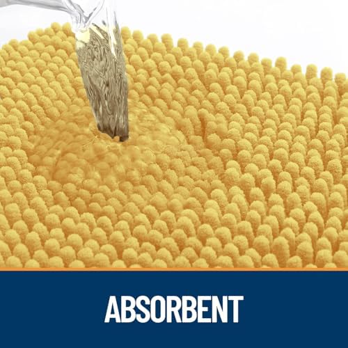OLANLY Dog Door Mat for Muddy Paws 32x20, Super Absorbent Chenille Mud Mat