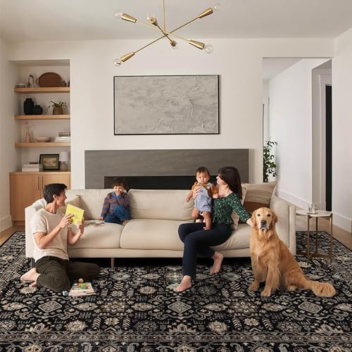 Ruaruarug Washable Area Rug 9×12 for Living Room, Ultra Soft, Black Gold