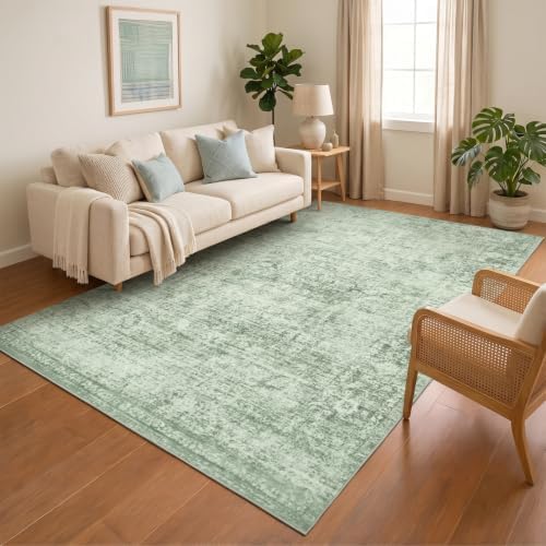 Homemate Washable Rug 5x7 Area Rugs - Vintage Rugs for Living Room