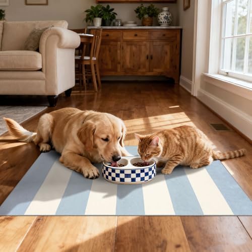 Front Door Mat Indoor Outside Entrance, 2x3 Blue White Striped Rug