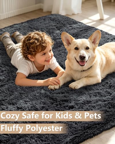 Smiry Area Rugs for Living Room Bedroom 3x5 ft, Fluffy Washable Carpet