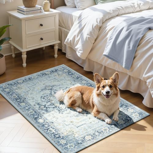Lofus 2x3 Washable Rug for Entryway Bathroom, Light Blue Vintage Door Mats