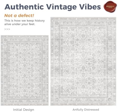 OPPODREAM Vintage Light Grey Area Rugs 5x7, Washable Rug for Living Room