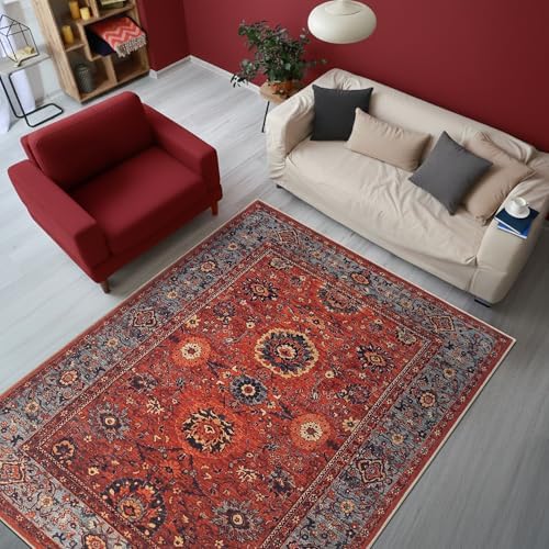 Keen Home Design Vintage Washable Area Rug, Non-Slip Low Pile, 4x6