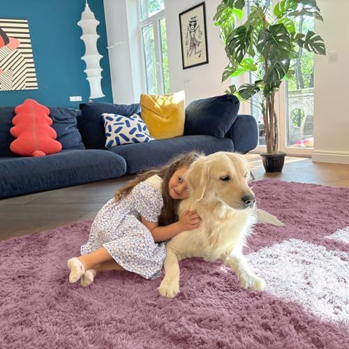 OLANLY 5x7 Machine Washable Large Area Rugs for Living Room, Bedroom, Soft Fluffy Shaggy Bedside Rug, Indoor Floor Carpet for Kids Girls and Boys, Dorms, Nursery, Home Decor Aesthetic, Blush