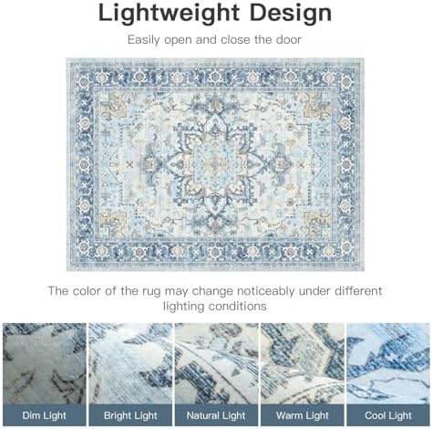 Lofus 2x3 Washable Rug for Entryway Bathroom, Light Blue Vintage Door Mats