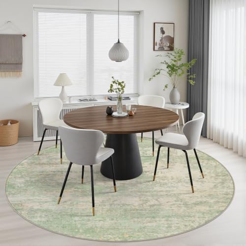 Round Area Rug Living Room: 8 ft Modern Washable Indoor Carpet