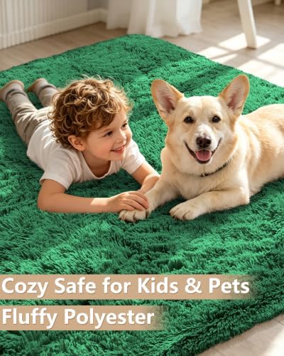 Smiry Area Rugs for Living Room Bedroom 2x4 ft, Fluffy Washable Carpet