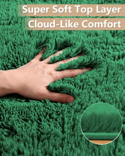 Smiry Area Rugs for Living Room Bedroom 2x4 ft, Fluffy Washable Carpet