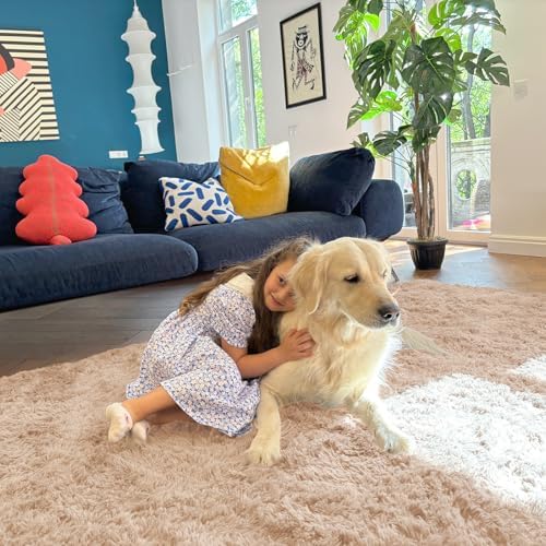 OLANLY 10x14 Machine Washable Large Area Rugs for Living Room, Bedroom, Soft Fluffy Shaggy Bedside Rug, Indoor Floor Carpet for Kids Girls and Boys, Dorms, Nursery, Home Decor Aesthetic, Beige