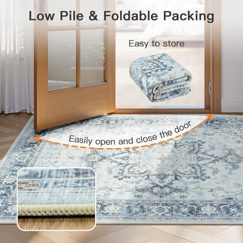 Lofus 2x3 Washable Rug for Entryway Bathroom, Light Blue Vintage Door Mats