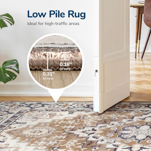 Lessymo 4 x 6 Area Rugs for Living Room, Machine Washable Faux-Wool Rugs