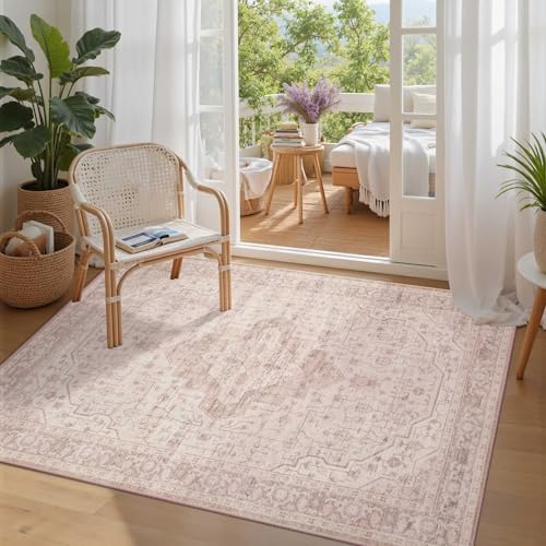 Rugxara 3x5 Entryway Rug,Pink Vintage Boho Bedroom Area Rug