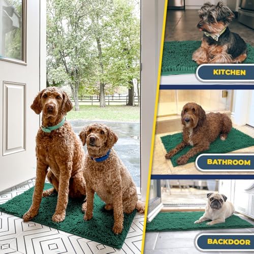 Muddy Mat® | Super Water Absorbent Door Mat Indoor, Microfiber Quick Dry Chenille Entryway Rug, Slip Resistant Front Door Mat, Indoor Mats for Entryway, Machine Washable Pet Rug, Dark Green 72"X48"