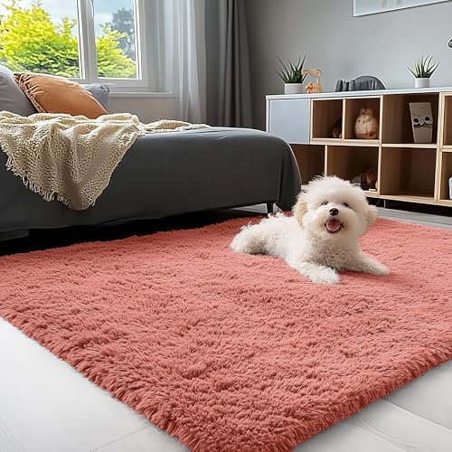 OLANLY 3x5 Machine Washable Small Bedside Rug, Soft Fluffy Shaggy Rugs for Living Room, Bedroom, Indoor Floor Carpet for Kids Girls and Boys, Preppy Dorms, Nursery, Home Decor Aesthetic, Rust Red