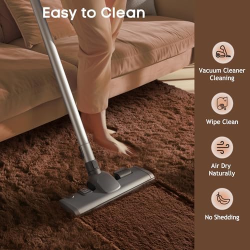 Ophanie Small Rug Washable Non Slip Throw Bedside Area Rugs, Fluffy Soft Brown Mini Bedroom Carpet, Affordable Door Entryway Indoor Inside Front Entrance Dog 2x3 Mat, Home Decor Aesthetic, Nursery