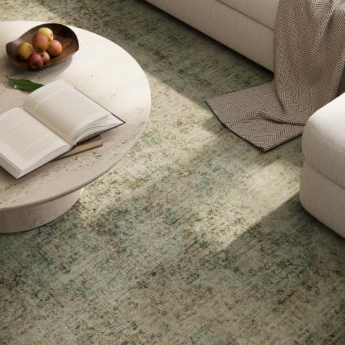 Machine Washable Rugs for Living Room: 6x9 Area Rugs for Bedroom