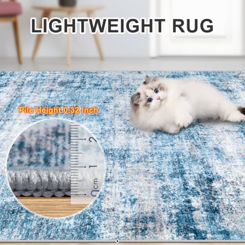 PLHXFR 10x14 Area Rug Living Room: Modern Abstract Washable Carpet Blue