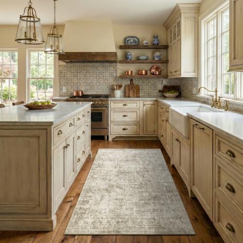 Homemate Washable Rug 4x6 Area Rugs - Vintage Rugs for Living Room