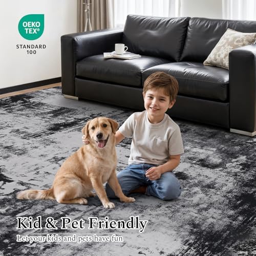 Rugflix 5x7 Area Rugs for Living Room, Washable Black Grey Dark Large Rug